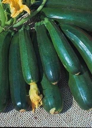 Семена кабачка Аэронавт