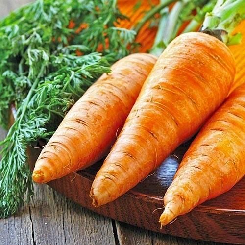 Насіння моркви Свитшан
