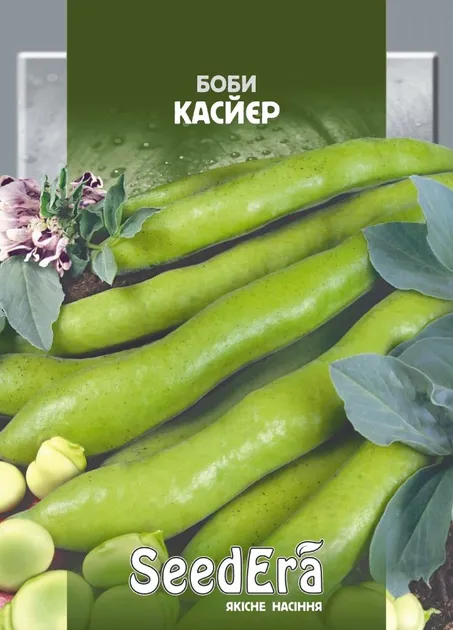 Насіння бобів Касйер