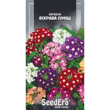 Насіння квітів Вербена Яскрава суміш