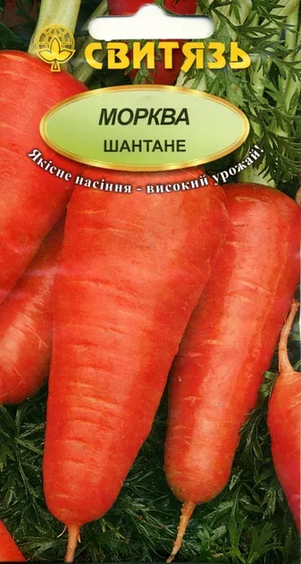 Шантане, насіння моркви 