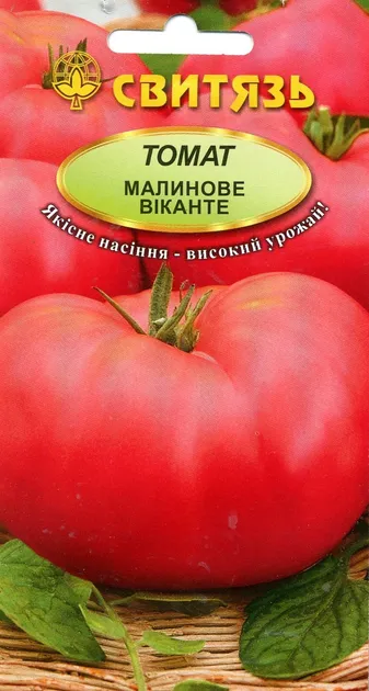 Насіння томату Малинове Віканте Насіння томату Малинове Віканте