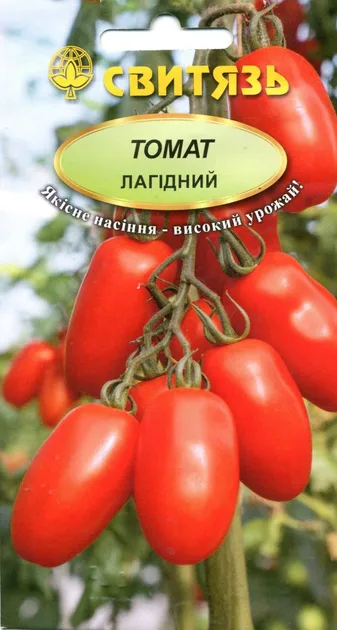 Насіння томату Лагідний Насіння томату Лагідний