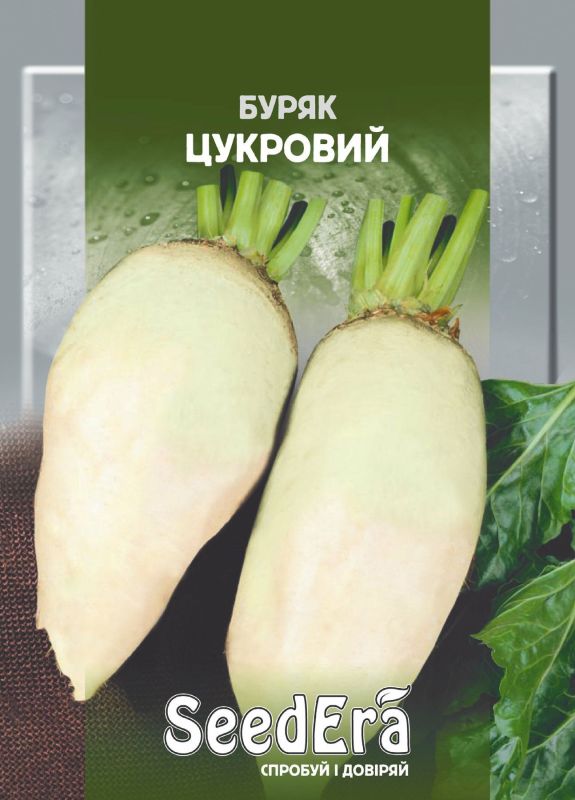 Насіння Буряка Цукрового