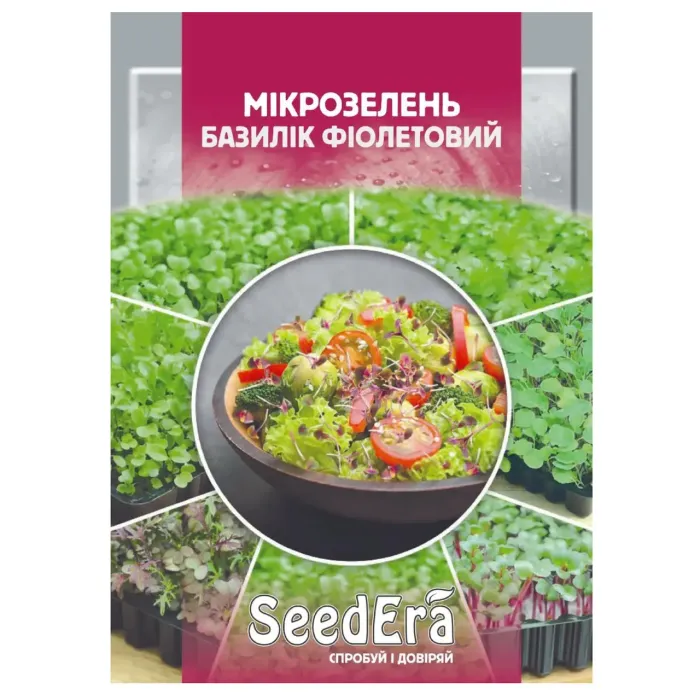 Насіння Мікрозелень Базилік фіолетовий
