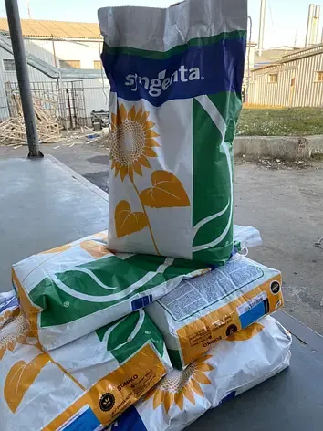 Насіння класичного соняшнику Рокі