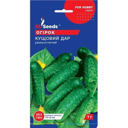 Насіння огірка Кущовий дар