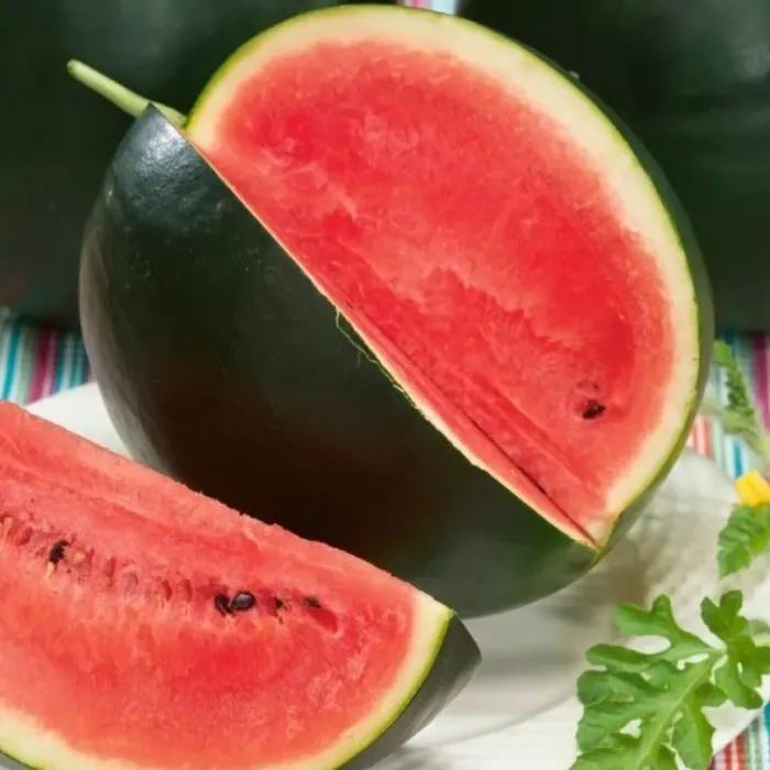 Насіння кавуна Цукровий малюк Gl Seeds