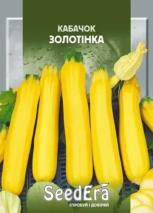 Насіння кущового кабачка Золотінка