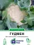 Семена капусты цветной Гудмен F1