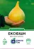 Насіння цибулі Ексібішн