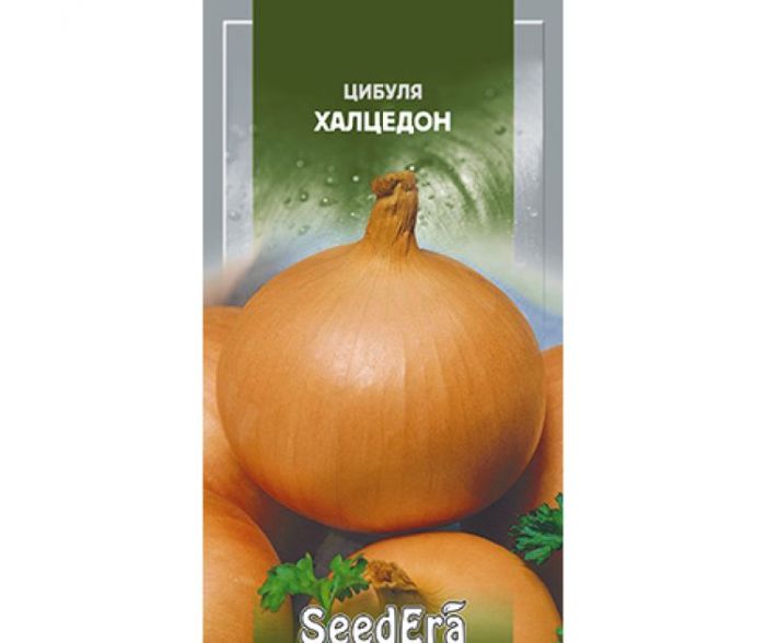 Насіння цибулі Халцедон