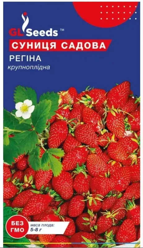 Насіння суниці садової Регіна
