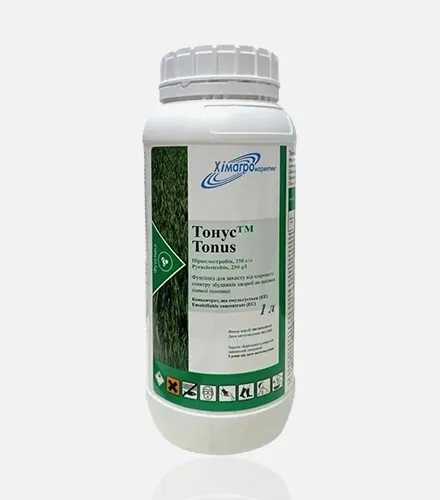 Тонус Тонус