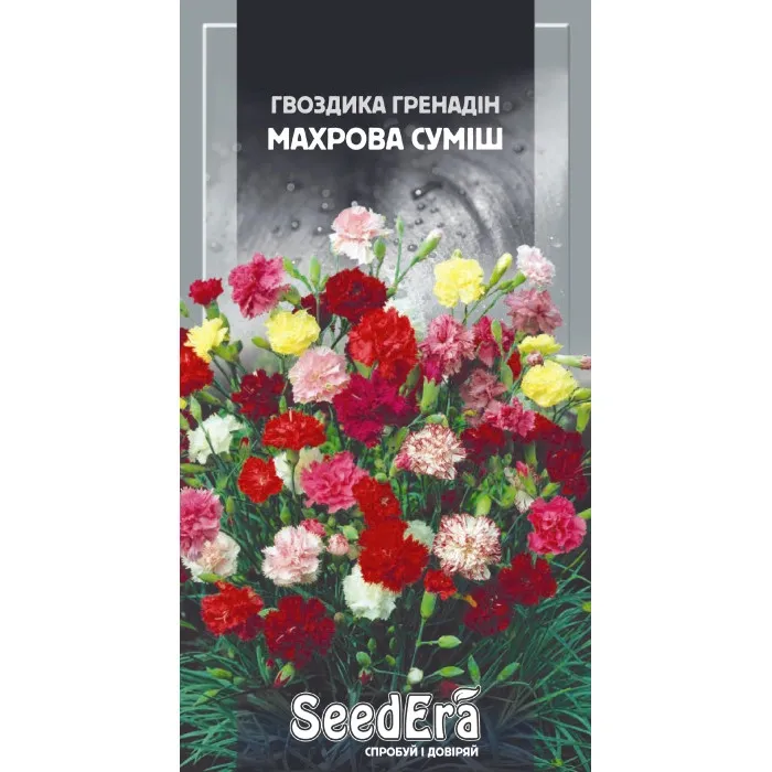 Насіння квітів Гвоздика садова Гренадін махрова суміш