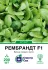 Насіння шпинату Рембрандт F