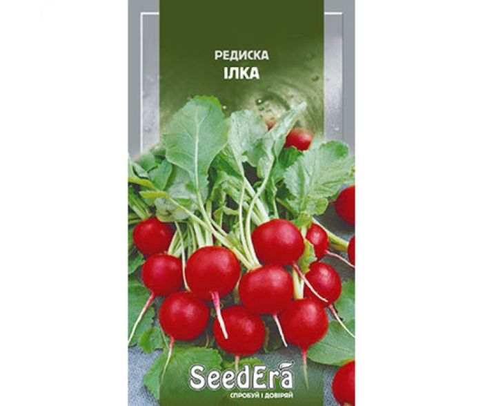 Насіння редиски Ілка