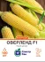 Насіння кукурудзи солодкої Оверленд F1