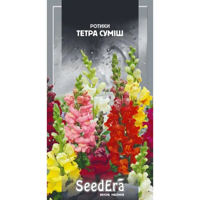 Насіння квітів Ротики Тетра суміш