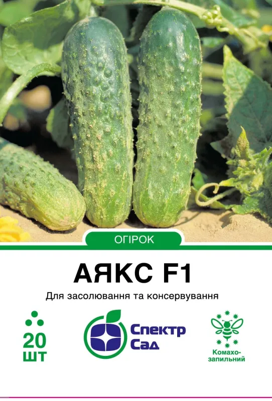 Насіння огірка Аякс F1
