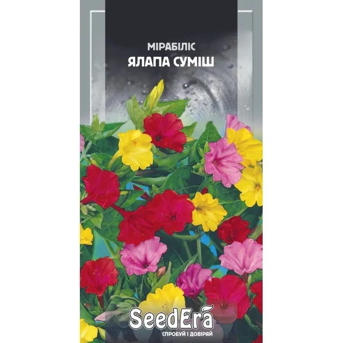 Насіння квітів Мірабіліс Ялапа суміш (Нічна красуня)