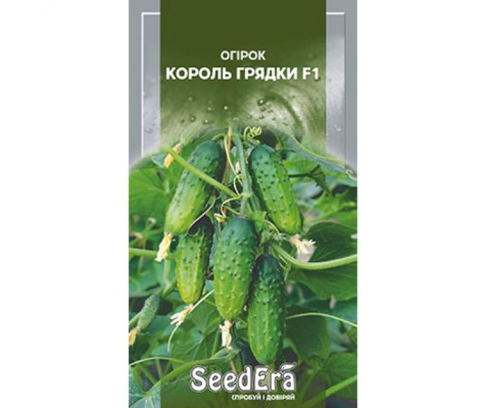 Насіння огірка Король грядки F1