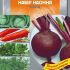 Набір насіння Борщ Набір насіння Борщ