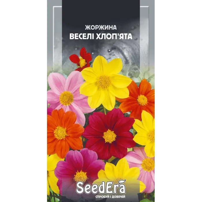 Насіння квітів Жоржина мінлива Веселі хлоп'ята