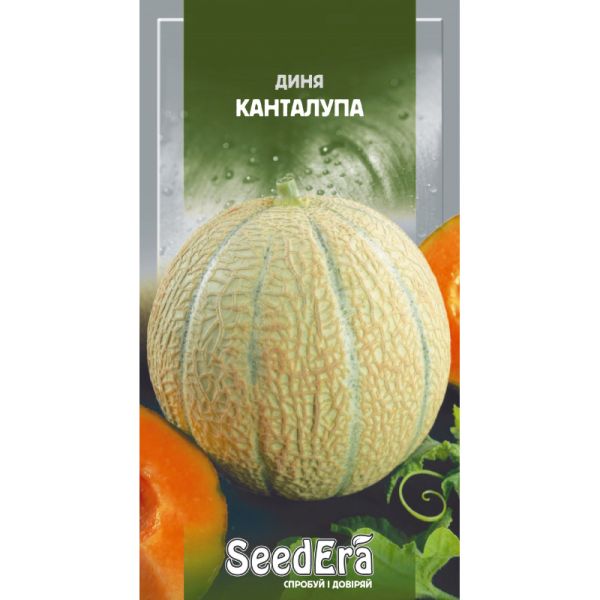 Насіння дині Канталупа
