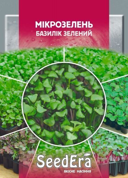 Насіння Мікрозелень Базилік зелений