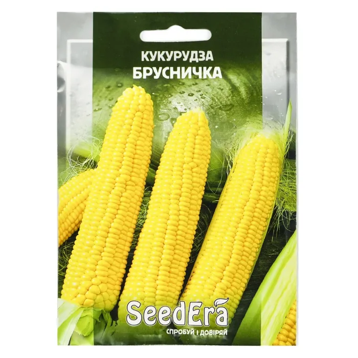 Насіння кукурудзи Брусничка