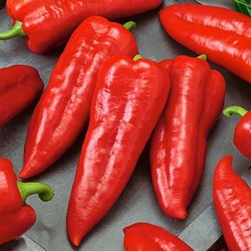 Насіння Перцю Мерцедес солодкий