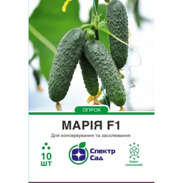 Насіння огірка Марія F1
